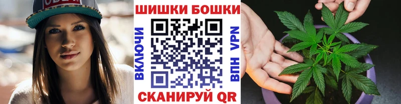 где купить   Талица  Конопля OG Kush 