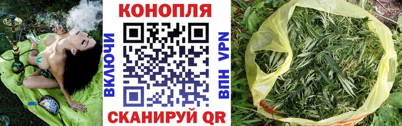 Марихуана SATIVA & INDICA Талица